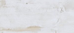 porcelanato eco prata 20x122 1.jpg